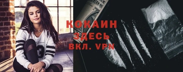 мдпв Верхний Тагил