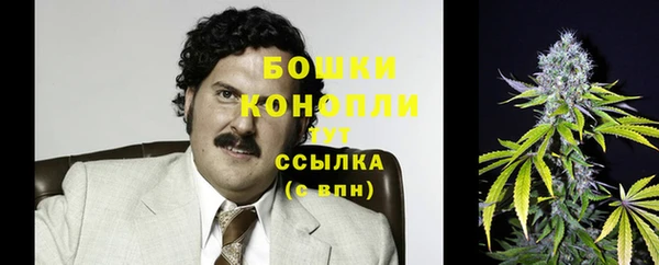 мдпв Верхний Тагил