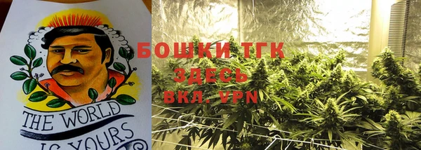мдпв Верея