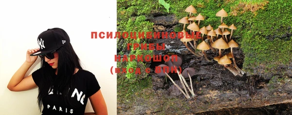 мдпв Верея
