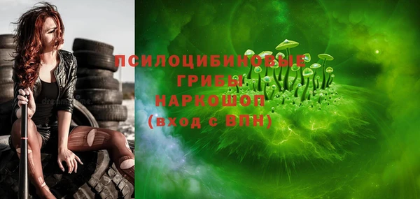 мдпв Верхний Тагил